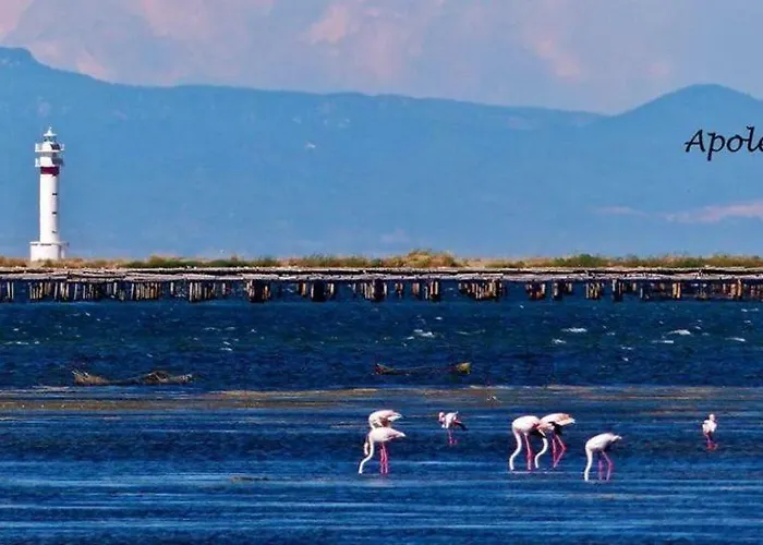 بيت للعطل Turistico
